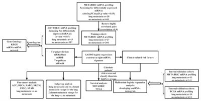 Construction of a MicroRNA-Based Nomogram for Prediction of Lung Metastasis in Breast Cancer Patients